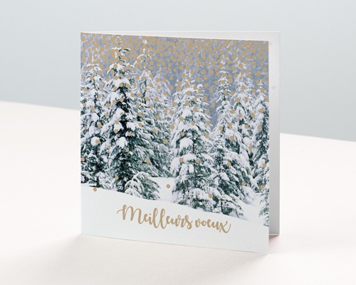 Forêt enchantée Carte de voeux entreprise - Forêt enchantée