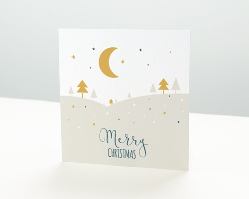Paysage de Noel Carte de vœux particulier - Paysage de Noel